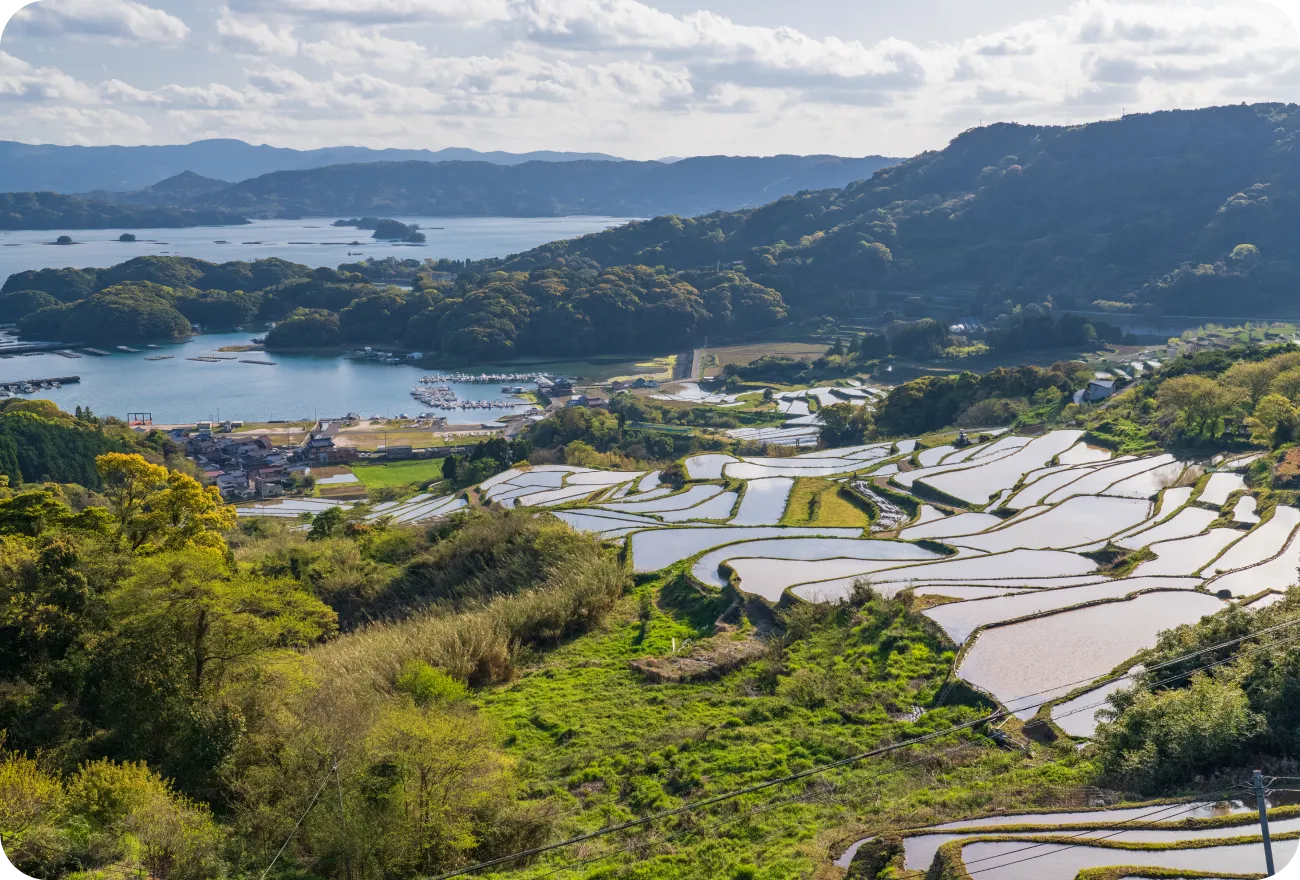 事業紹介 (背景と目的)